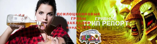 гидра Лабытнанги
