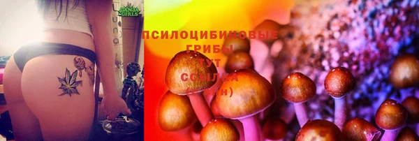ПСИЛОЦИБИНОВЫЕ ГРИБЫ Балахна