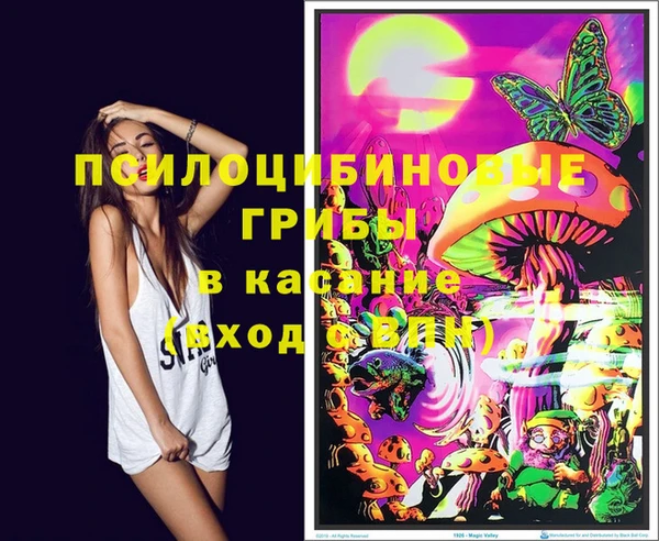 прущие грибы Белоозёрский