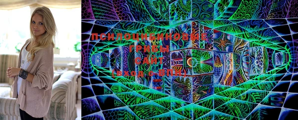 дурь Лиски