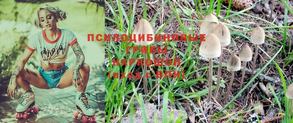 2c-b Ладушкин