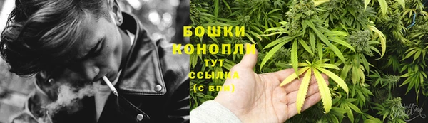 spice Лагань