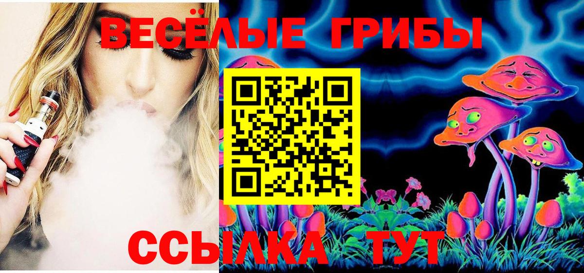 где продают наркотики  Галлюциногенные грибы Magic Shrooms  Псилоцибиновые грибы Psilocybine cubensis  Вход с VPN  Благодарный 