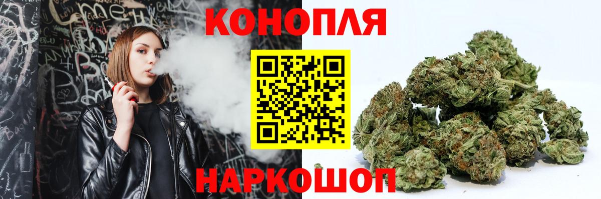 Бошки Шишки план  Конопля OG Kush  Благодарный  Бошки Шишки ГИДРОПОН  Вход с VPN 